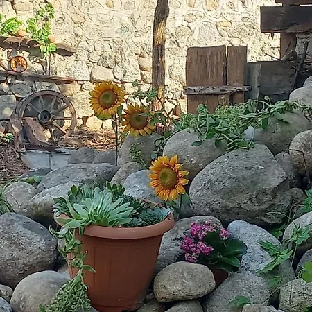 Dumanova House Bansko