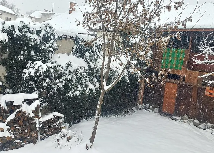 Guest house Dumanova House